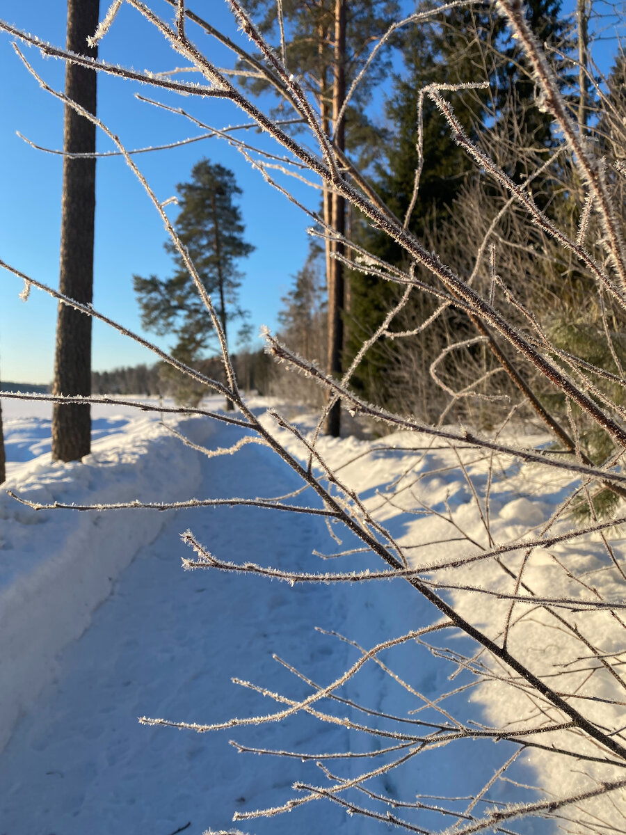Путь в тысячу ли начинается с первого шага