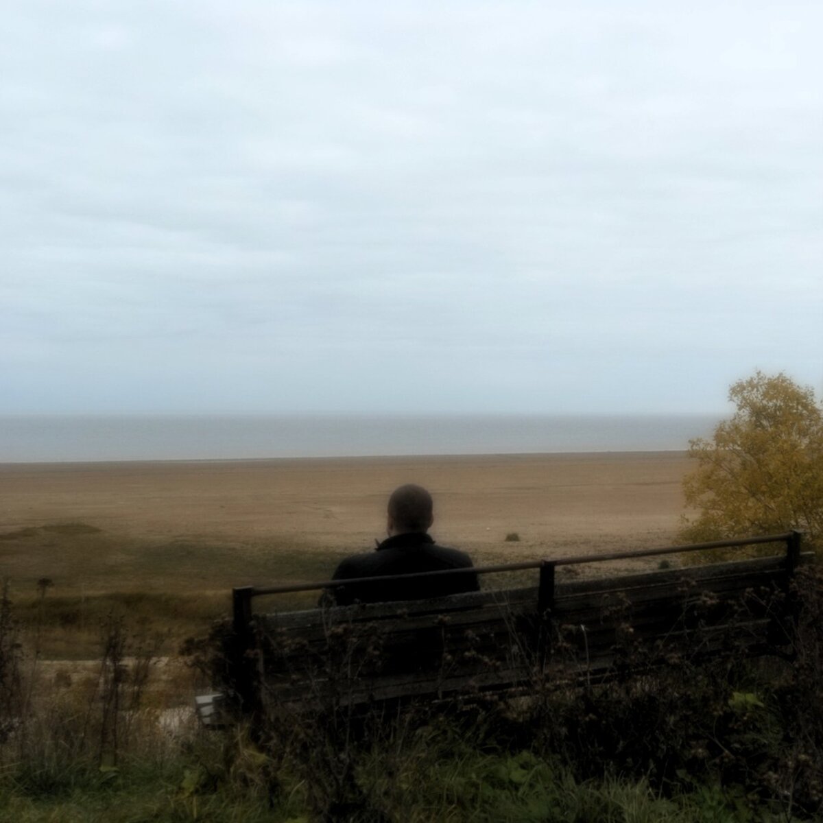 Озеро Ильмень, деревня Пустошь