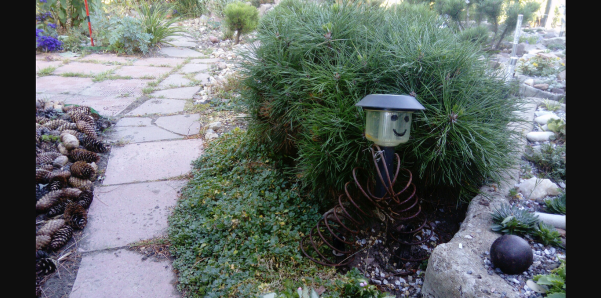 Веселый Самоделкин