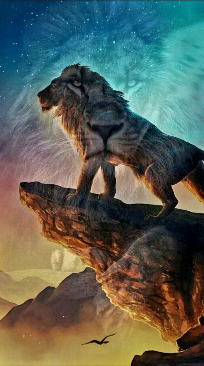 Источник фото: Яндекс. Картинки 