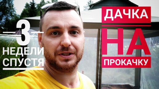 ДАЧКА НА ПРОКАЧКУ / ОБЗОР РАБОТЫ ЗА 3 НЕДЕЛИ