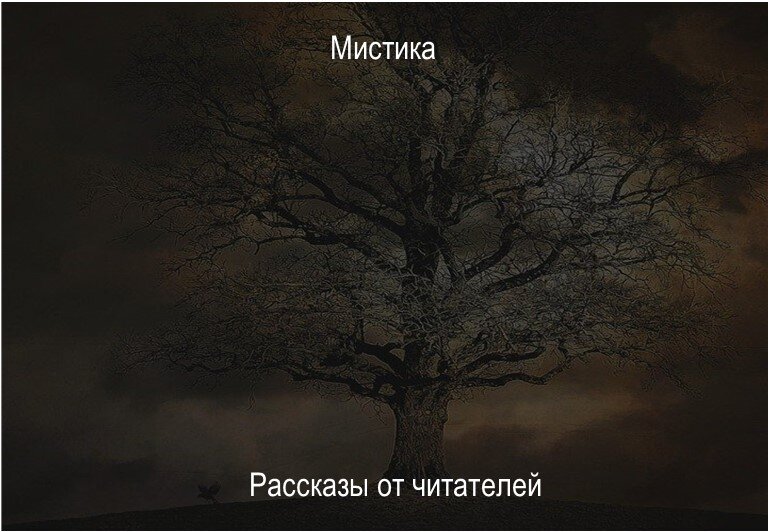 фотосток pixabay