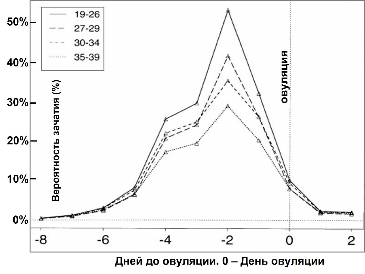 Вероятность забеременеть, в зависимости от дня менструального цикла.