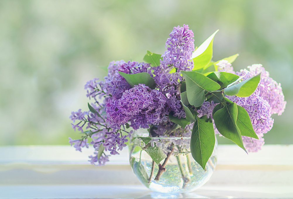 Фото из Яндекс картинки