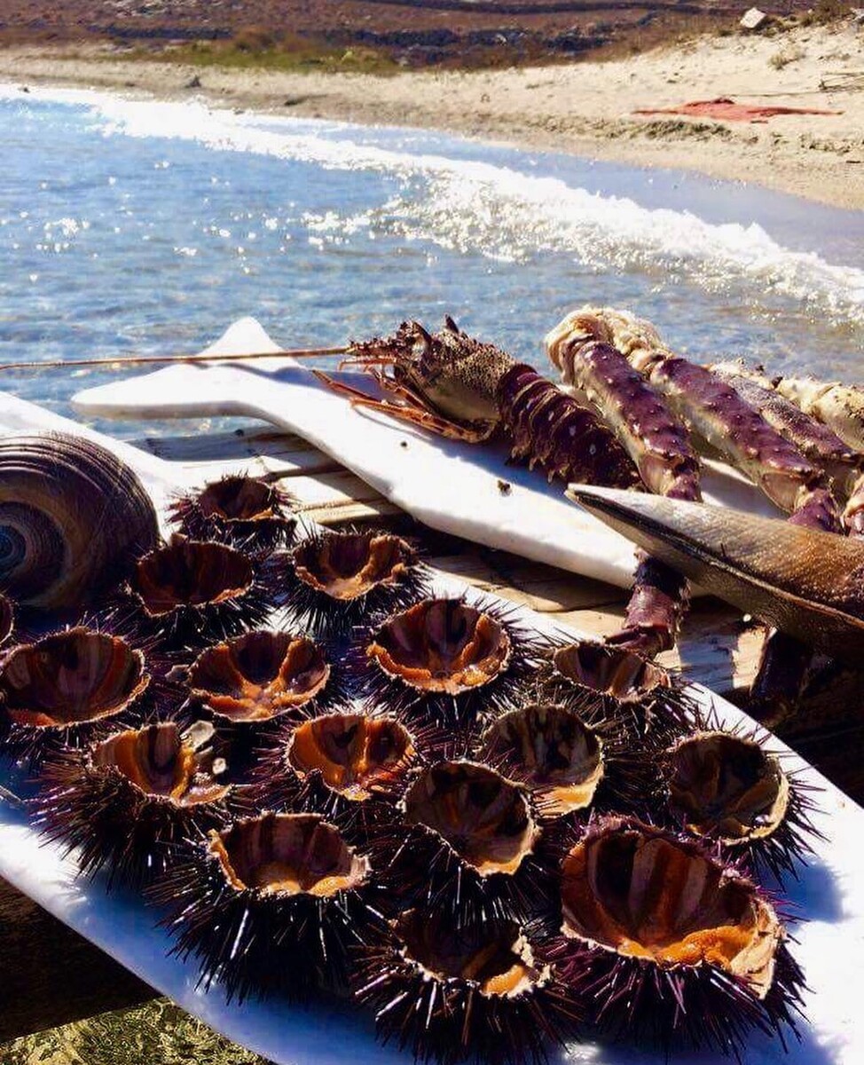 Морские ежи, крабы и омары в Греции. Средиземноморская кухня.  