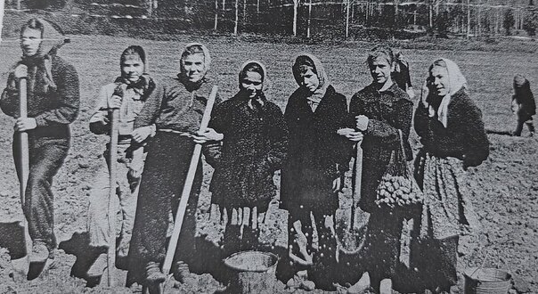 Посадка картофеля