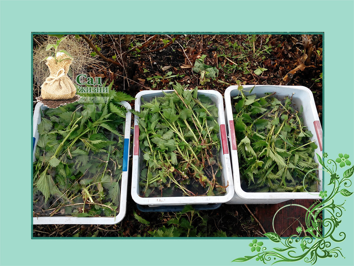 Травяное удобрение