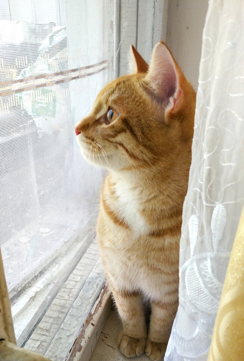 личное фото