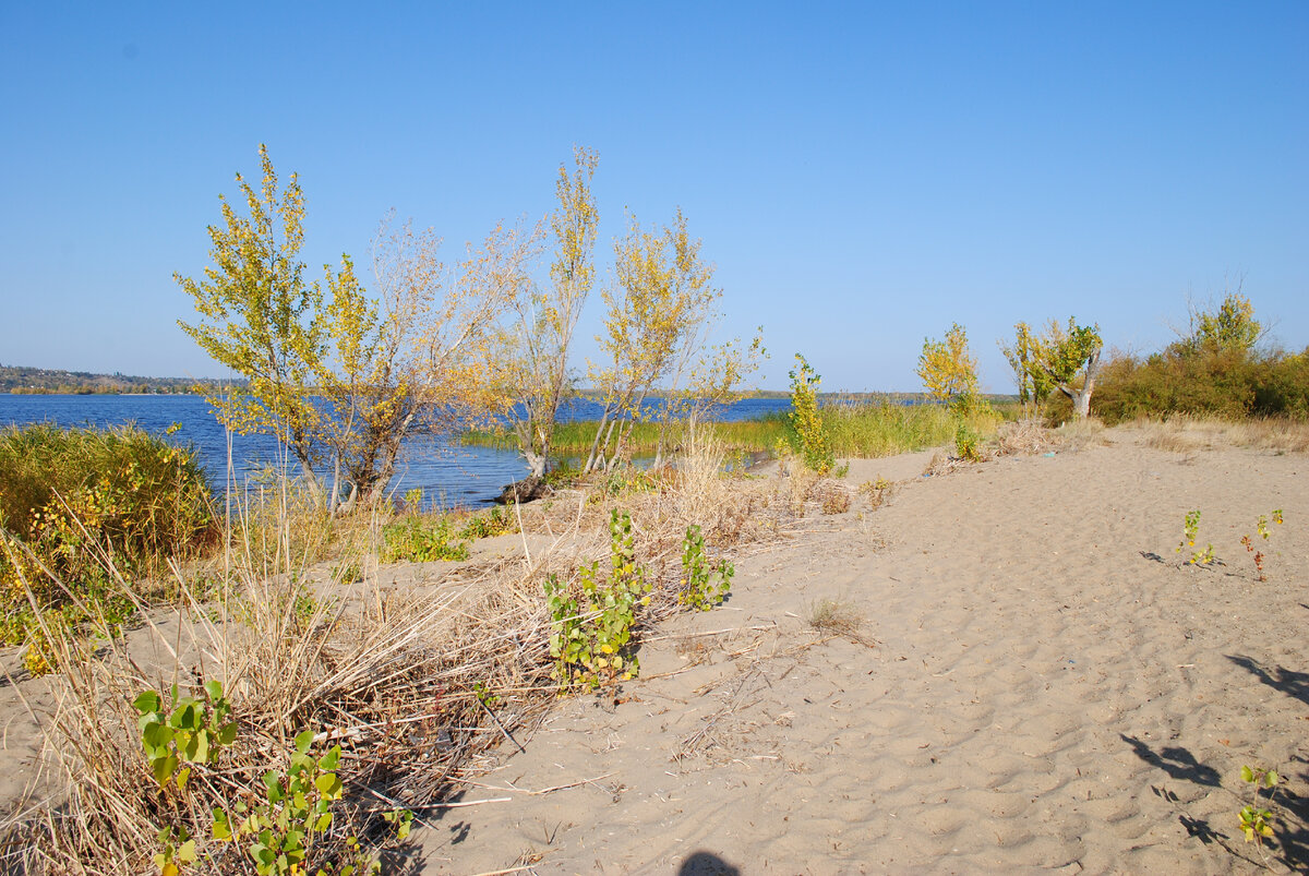 здесь была "движуха"
