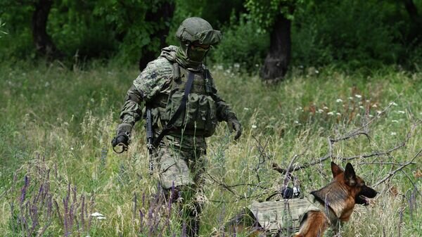    Сапер со служебной собакой по кличке Тоскана ищут мины на территории станции водоочистки в Мариуполе© РИА Новости / Павел Лисицын