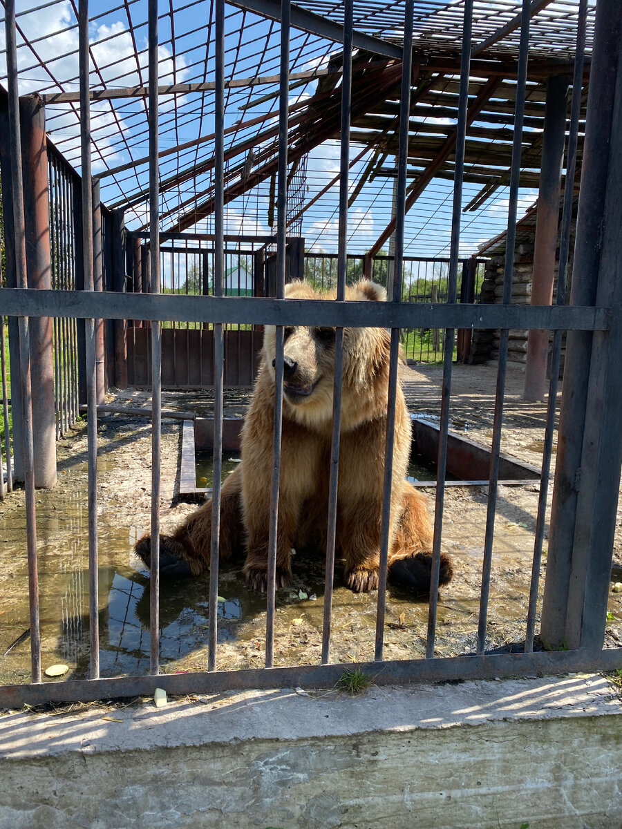 Мой задолбанный прототип