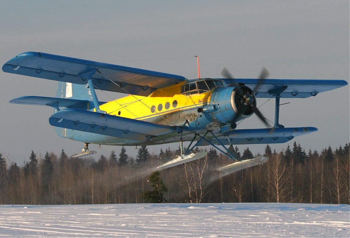    АН-2
