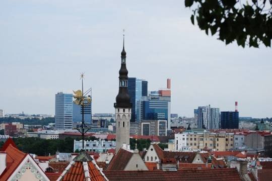    ERR: в Эстонии начнут готовиться к партизанской войне