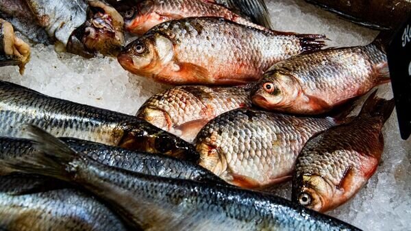   © РИА Новости Крым . Дмитрий Макеев