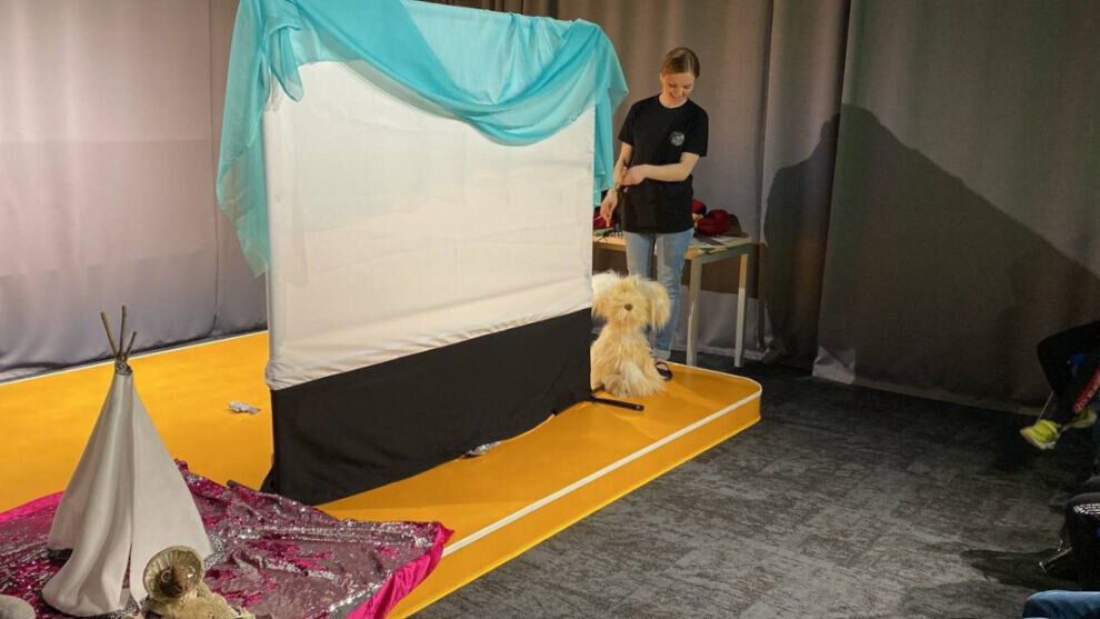    В ЯНАО выберут лучшие социальные бизнес-проекты