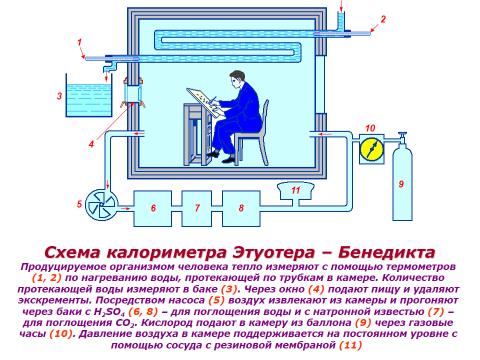 Схема калориметра
