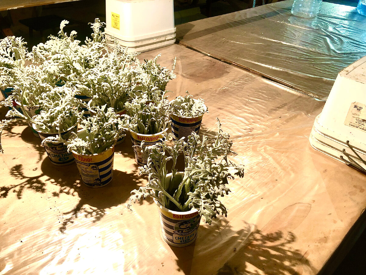 Личное фото 