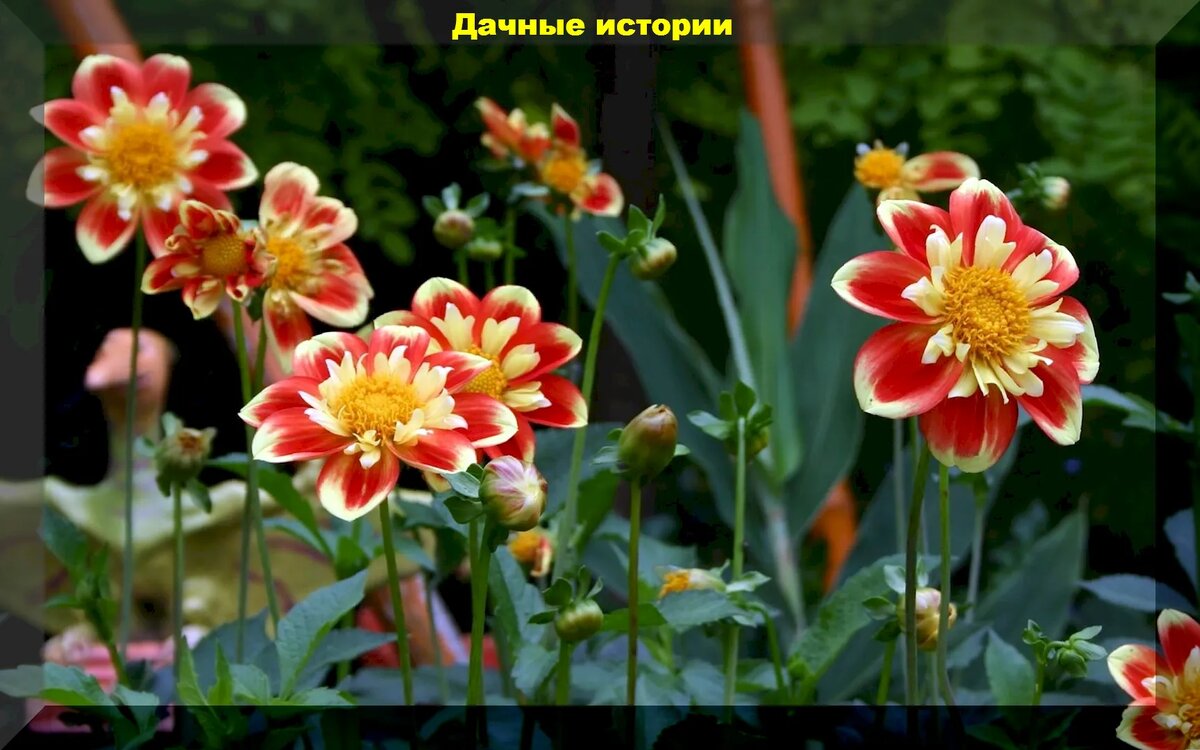 https://vk.com/photo-159774511_457256093