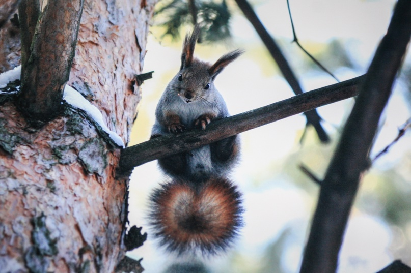 Фото: Сергей Пермяков 