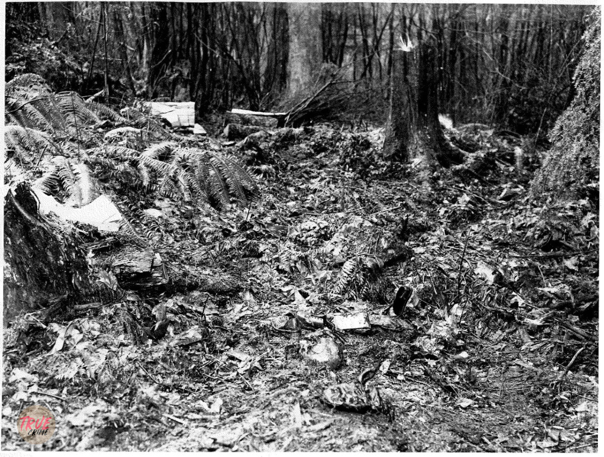 Место где в 1953 году были найдены тела малышей. Источник фото: globalnews.ca