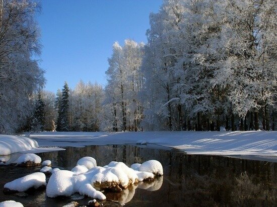    Фото: pixabay.com