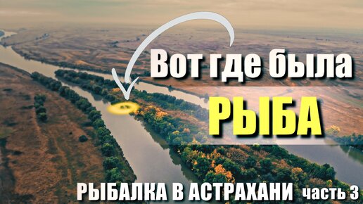 РЫБАЛКА в АСТРАХАНИ! ЗРЕЛИЩНЫЕ ПОКЛЕВКИ в Шикарном коряжнике с рыбой на глубине 5 метров. Часть 3