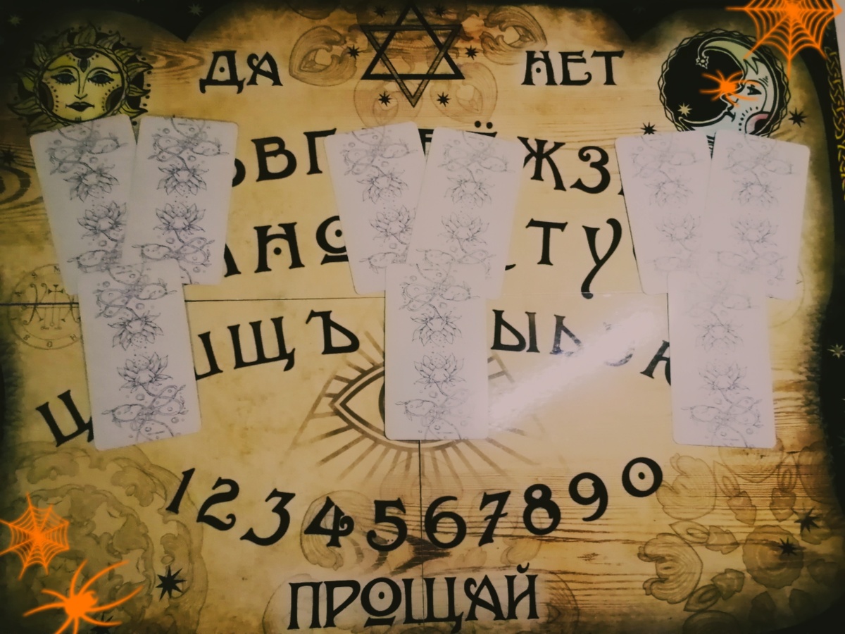 Выбирите вариант