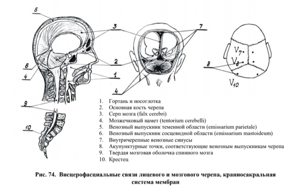 Каска неврастеника