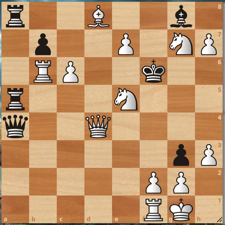 м1, ход белых