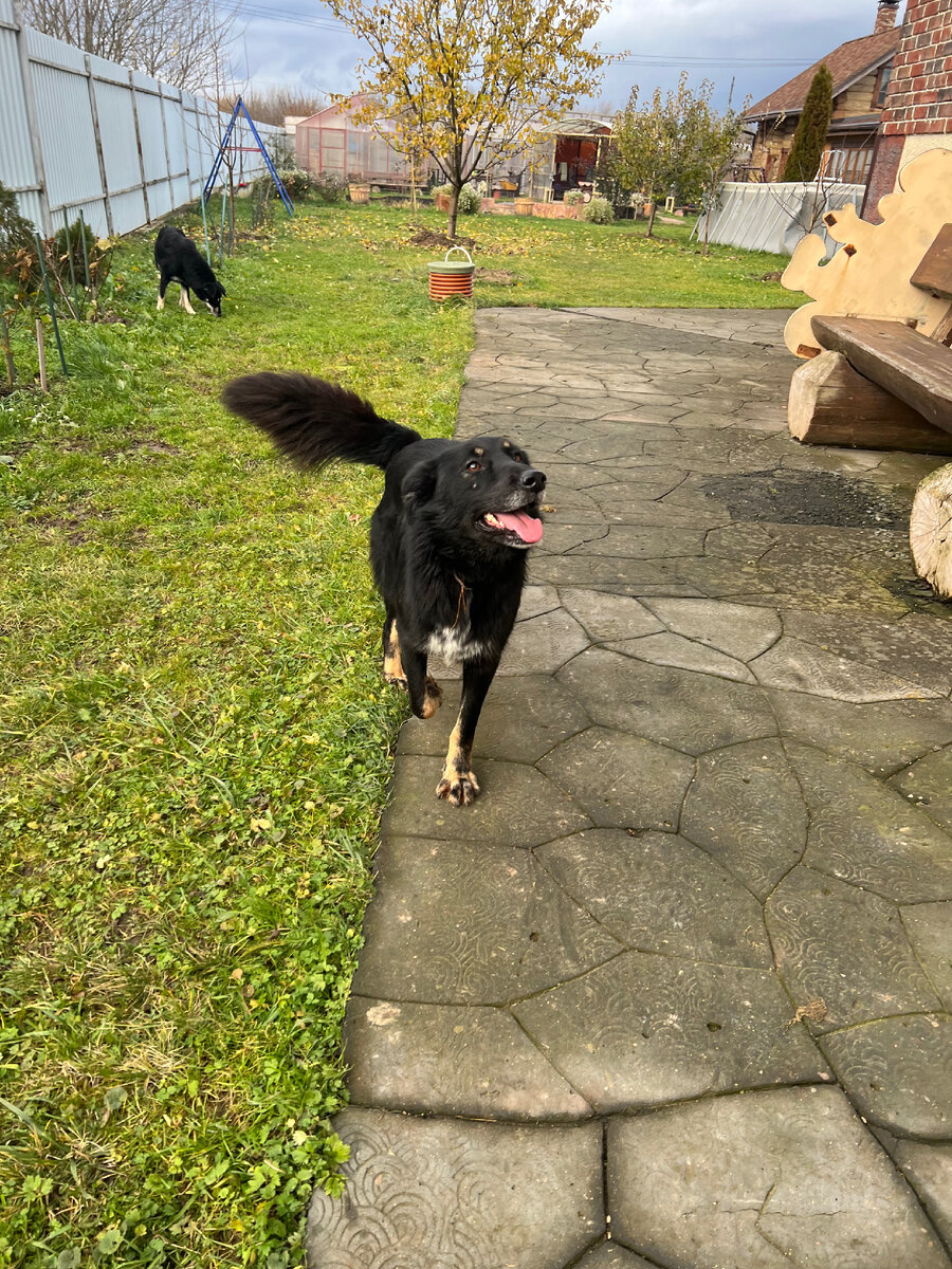 Красавица Масяня радуется жизни)