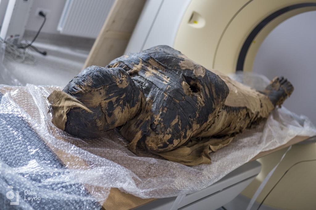    фото: Warsaw Mummy Project