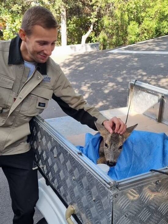     ФОТО: T.ME/ALEKSEIODEROV