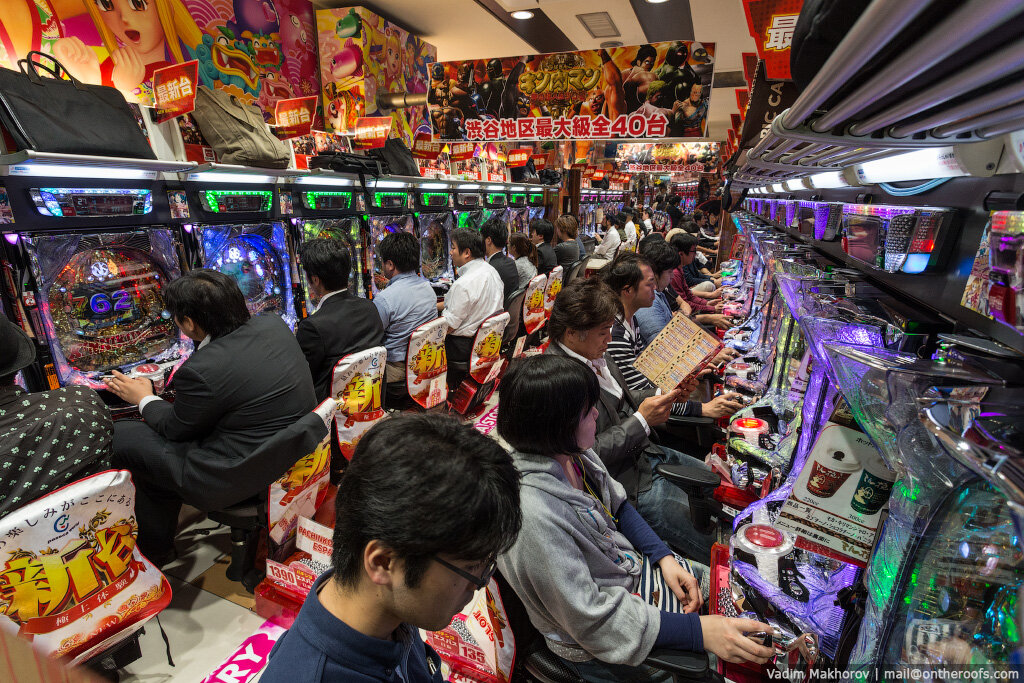 фото из сводных источников интернета