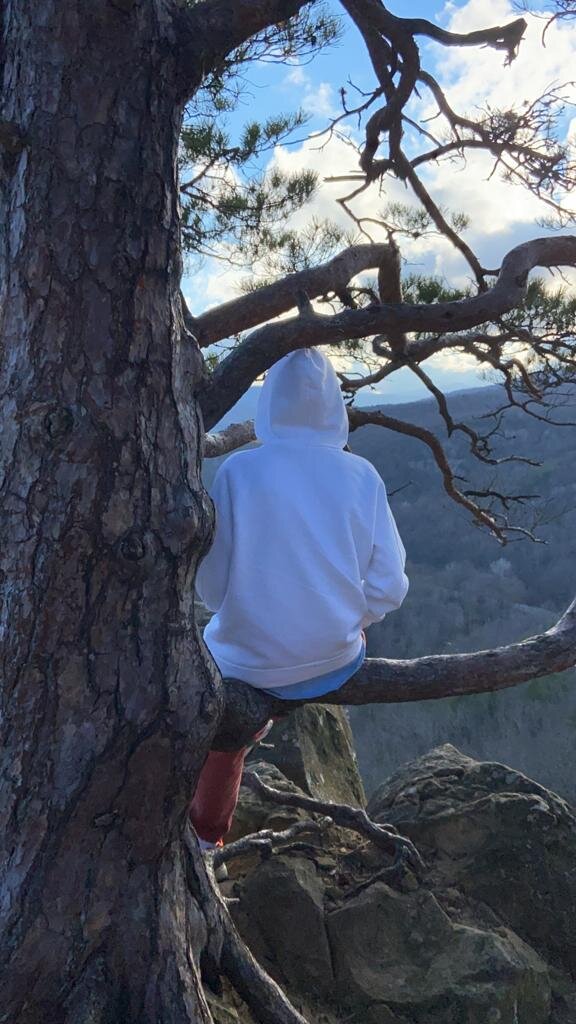 Планческие скалы