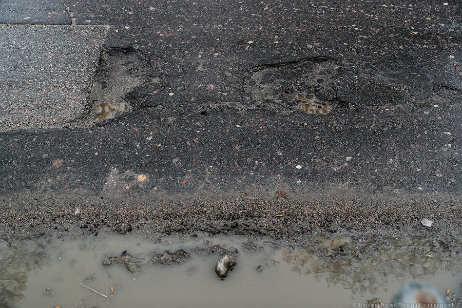 Фото: Виталий Невар / Новый Калининград