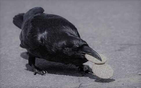 Изображение из сети интернет