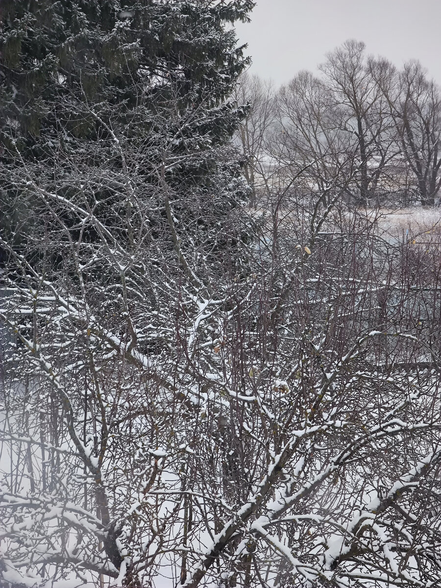 всю ночь шёл.