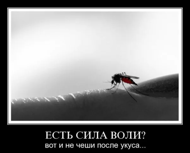 Хотя волею волею. Демотиваторы про силу духа. Сила воли картинки прикольные. Сила воли надпись. Статусы про силу воли.