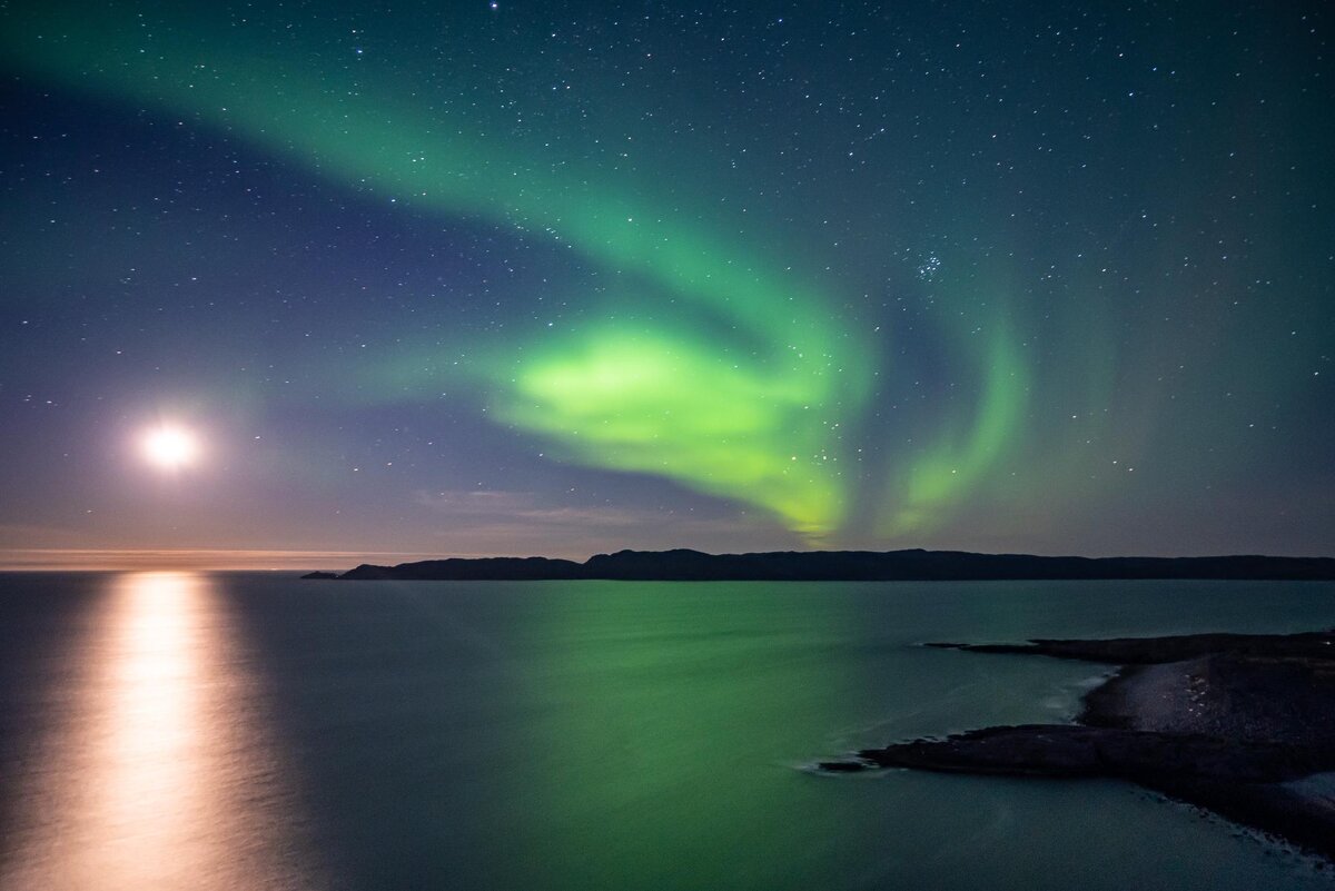Фото: shutterstock