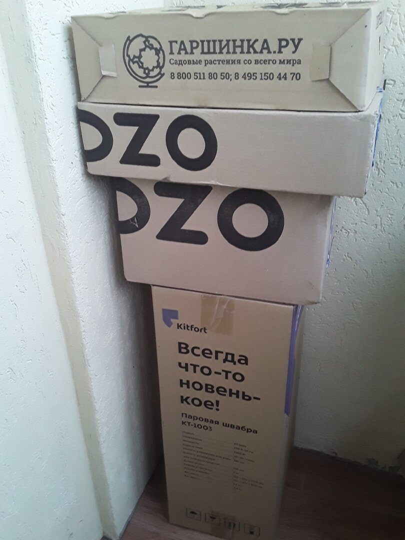 Склад клубнелуковичных на балконе