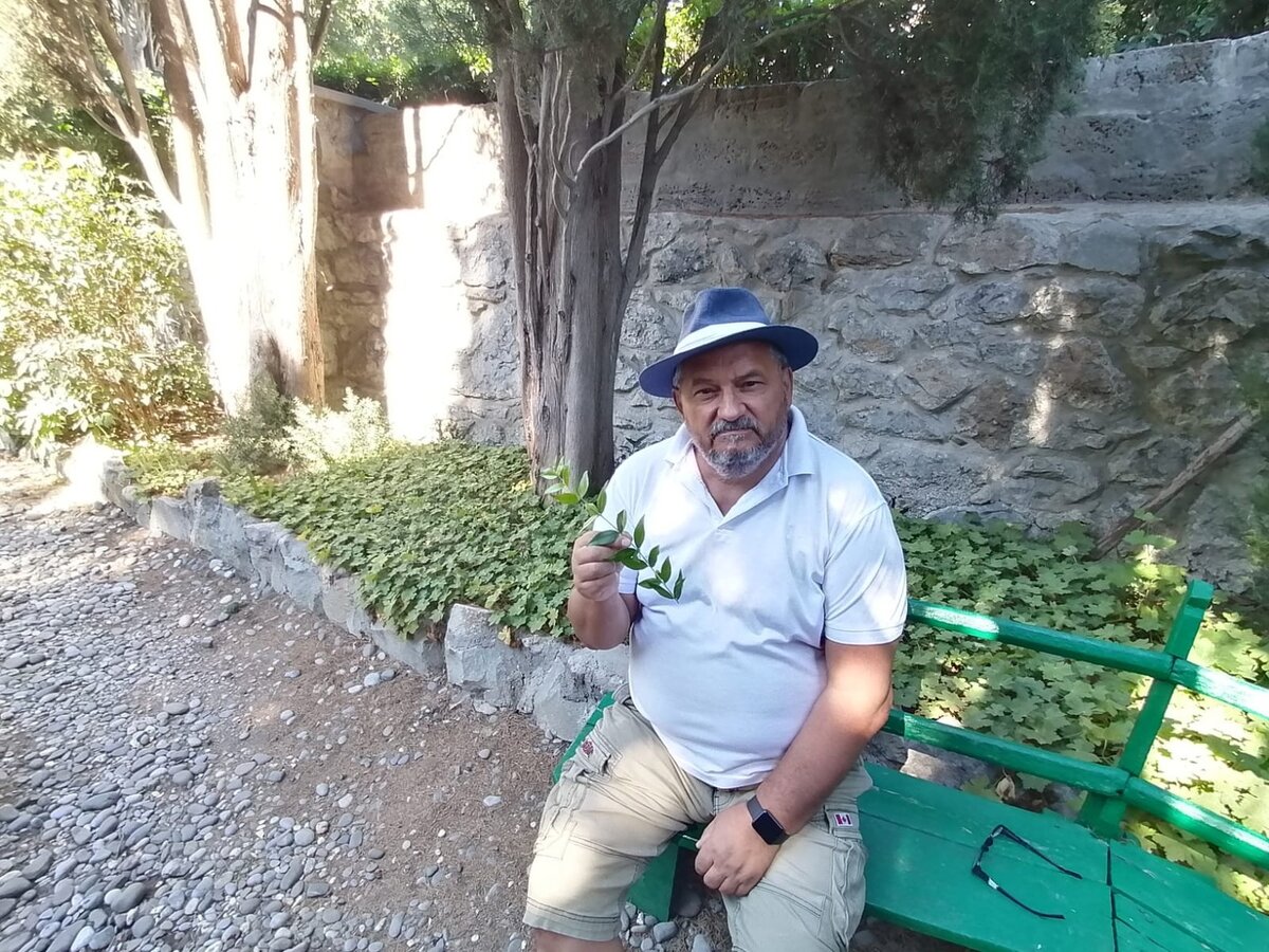 В Ялте на даче Чехова. На этой скамейке любили сидеть и разговаривать Горький и Чехов. Фото автора