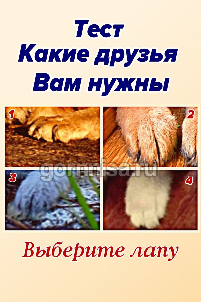    Тест — Какие друзья Вам нужны Pavlov A