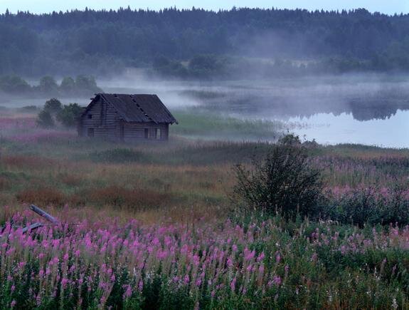    Viktor Gritsuk/globallookpress.com