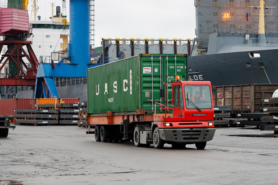 Фото: Виталий Невар / Новый Калининград