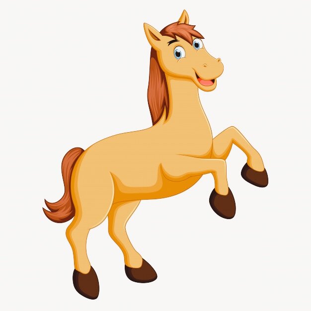 Фото из свободных источников Интернета.