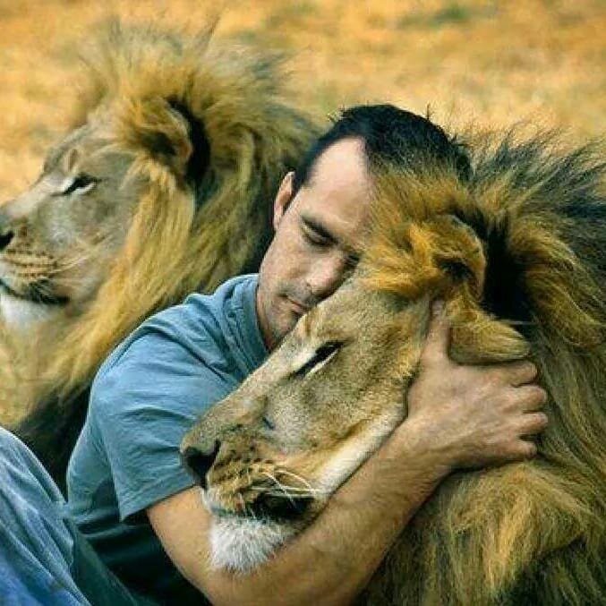 THE CRAZY WORLD OF ANIMALS - YouTube