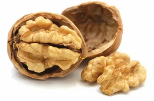 сходство с образом мозга