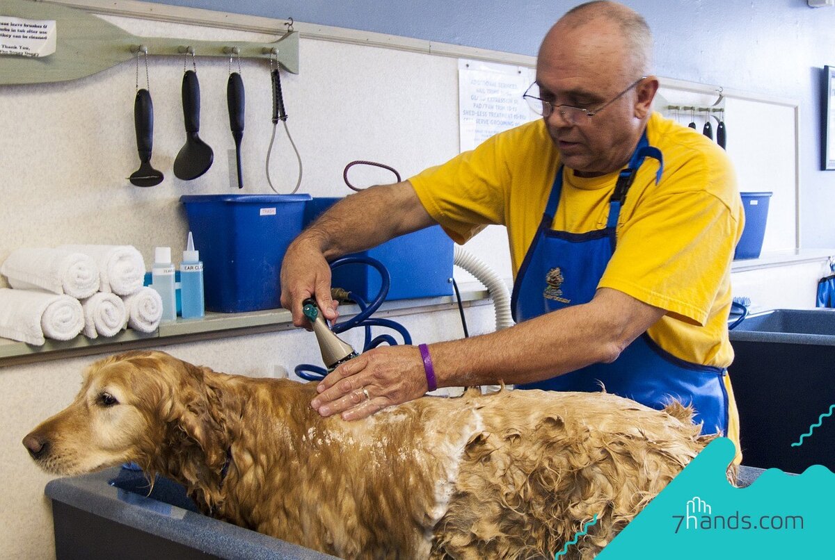 Источник: https://7hands.com/