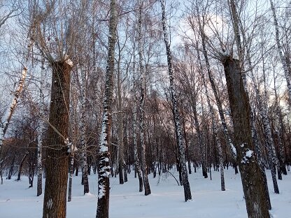 Фотография из личного архива автора