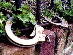    Фото: Ed Seymour / flickr.com Константин Бухтатов